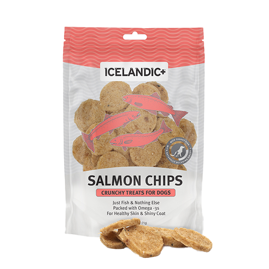 Icelandic+ Dog Salmon Fish Chips 2.5 oz