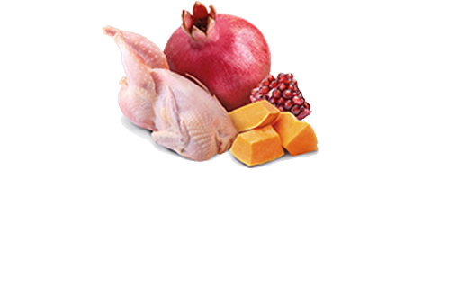 Farmina N&D Pumpkin Quail & Pumpkin Grain-Free Wet Cat Food – food