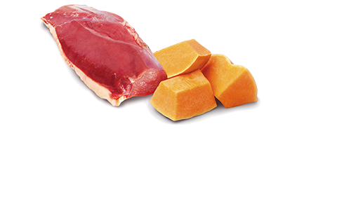 Farmina N&D Pumpkin Duck & Pumpkin Adult Mini Grain-Free Wet Dog Food – food