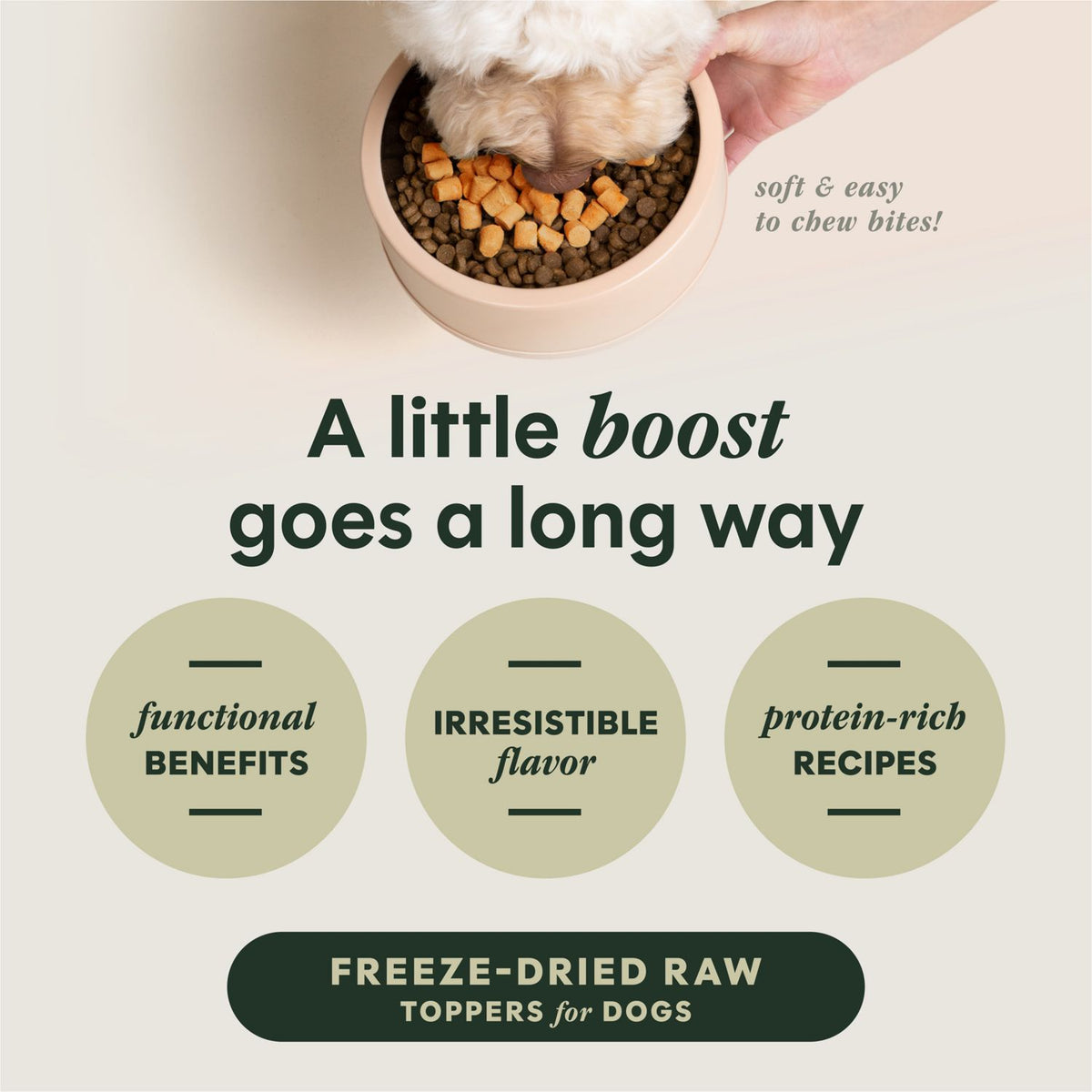 Instinct Raw Boost Mixers Gut Health Freeze-Dried Dog Food Topper – Choose Your Size
