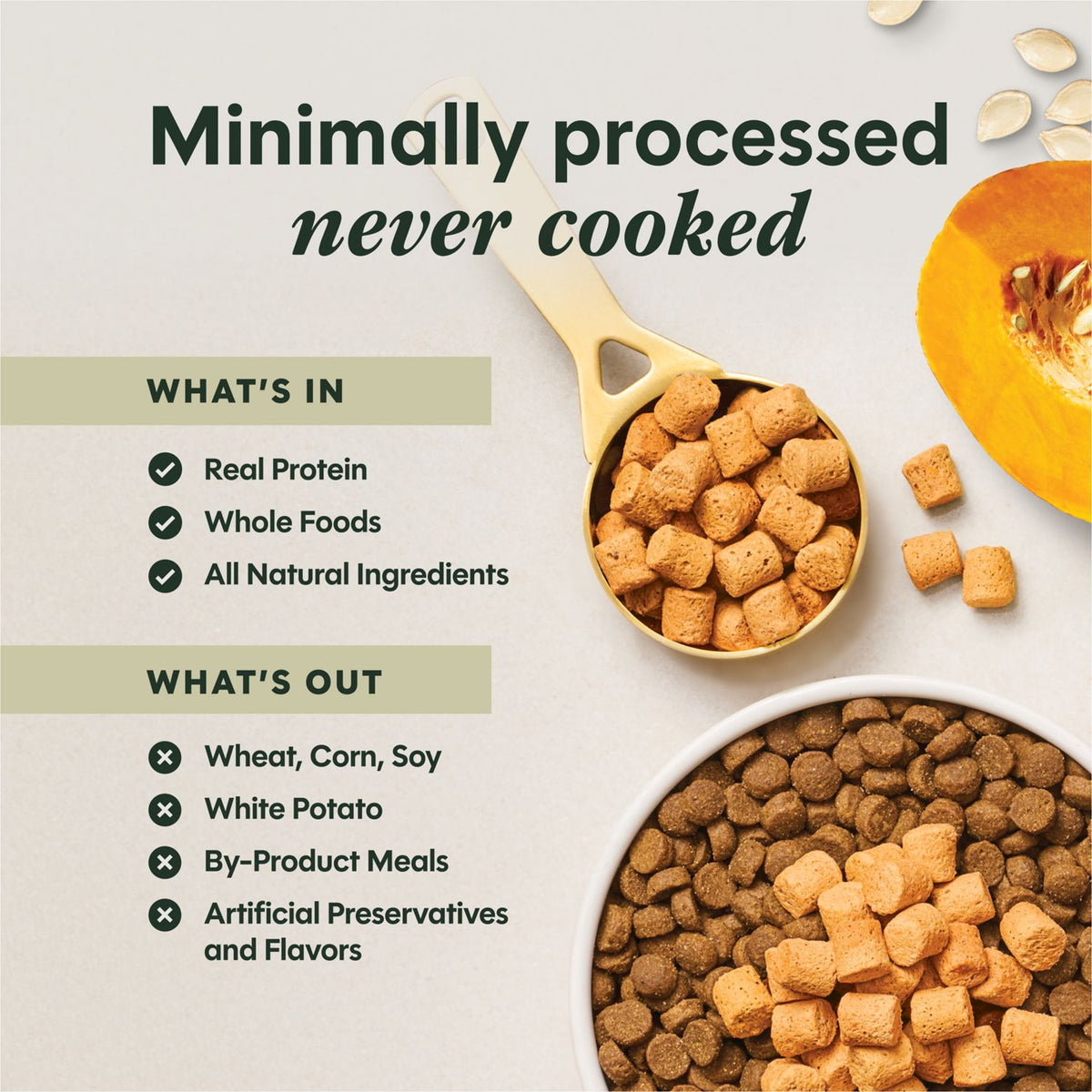 Instinct Raw Boost Mixers Gut Health Freeze-Dried Dog Food Topper – Choose Your Size