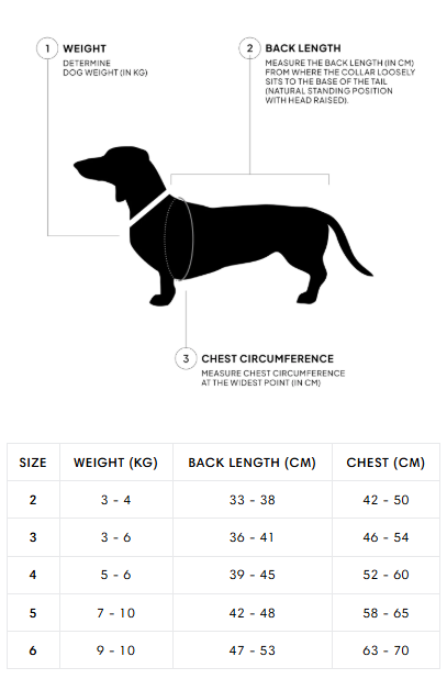 [Presale]Dachshund Raincoat Dublin 2.0 Yellow