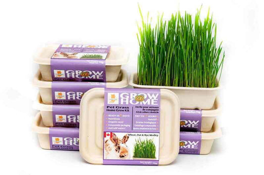 Grow at Home Kit Grass Medley (Individual Unit)