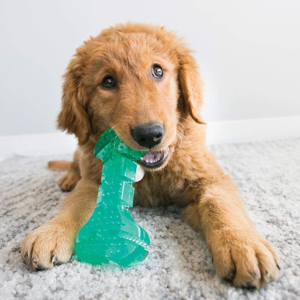 KONG Squeezz Dental Stick Dog Toy – Medium