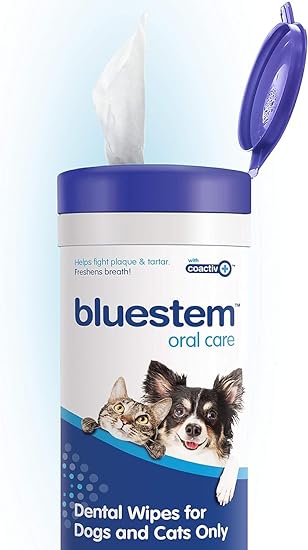 BLUESTEM Dental Wipes 60PK | Dog & Cat