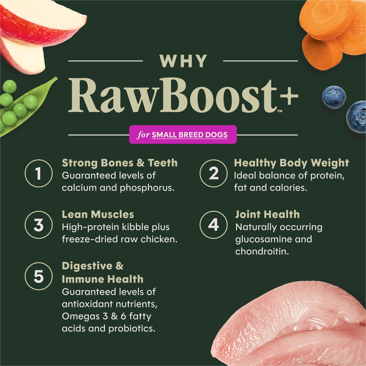 Instinct Raw Boost Small Breed Real Chicken Recipe dry dog food