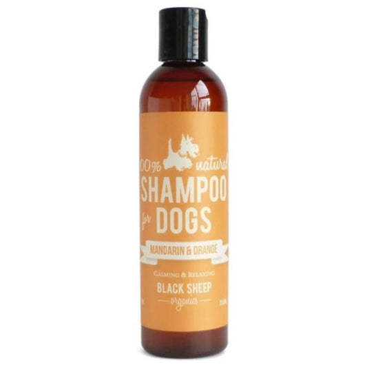 Black Sheep Mandarin & Orange Organic Shampoo