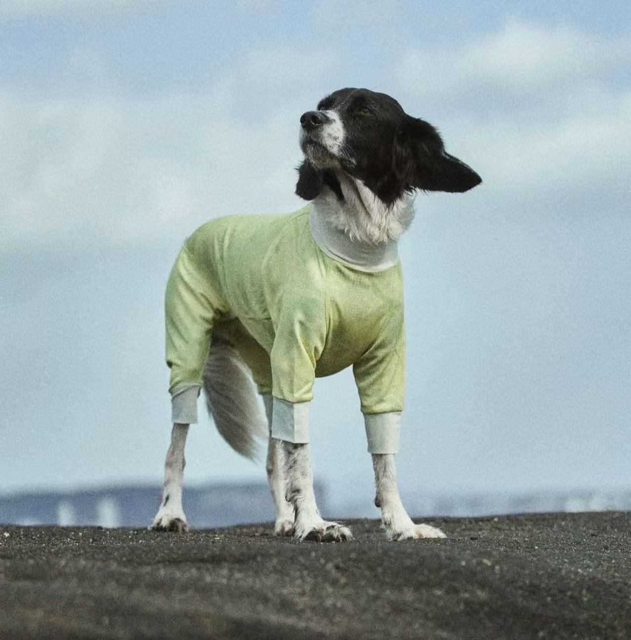 Merlot cooling vest and suit