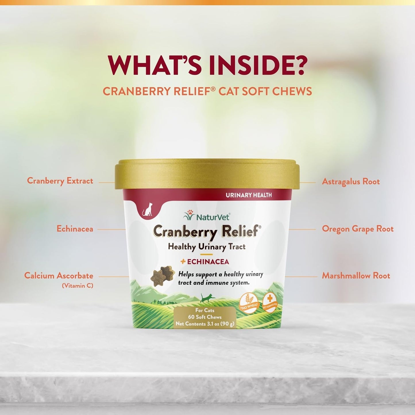 NATURVET Soft Chew Cranberry Relief 60CT | Cat