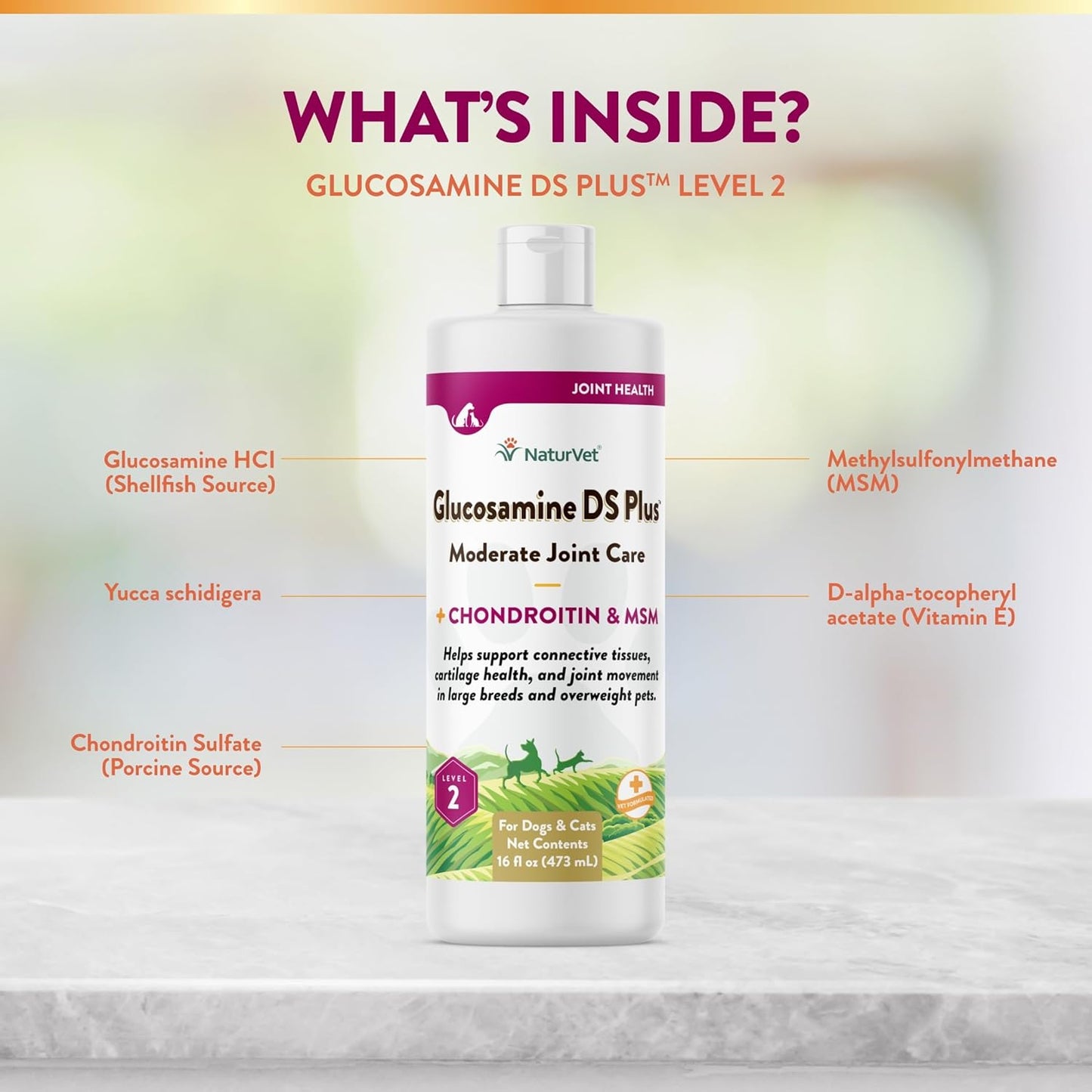 NATURVET Glucosamine DS Plus Liquid 16OZ