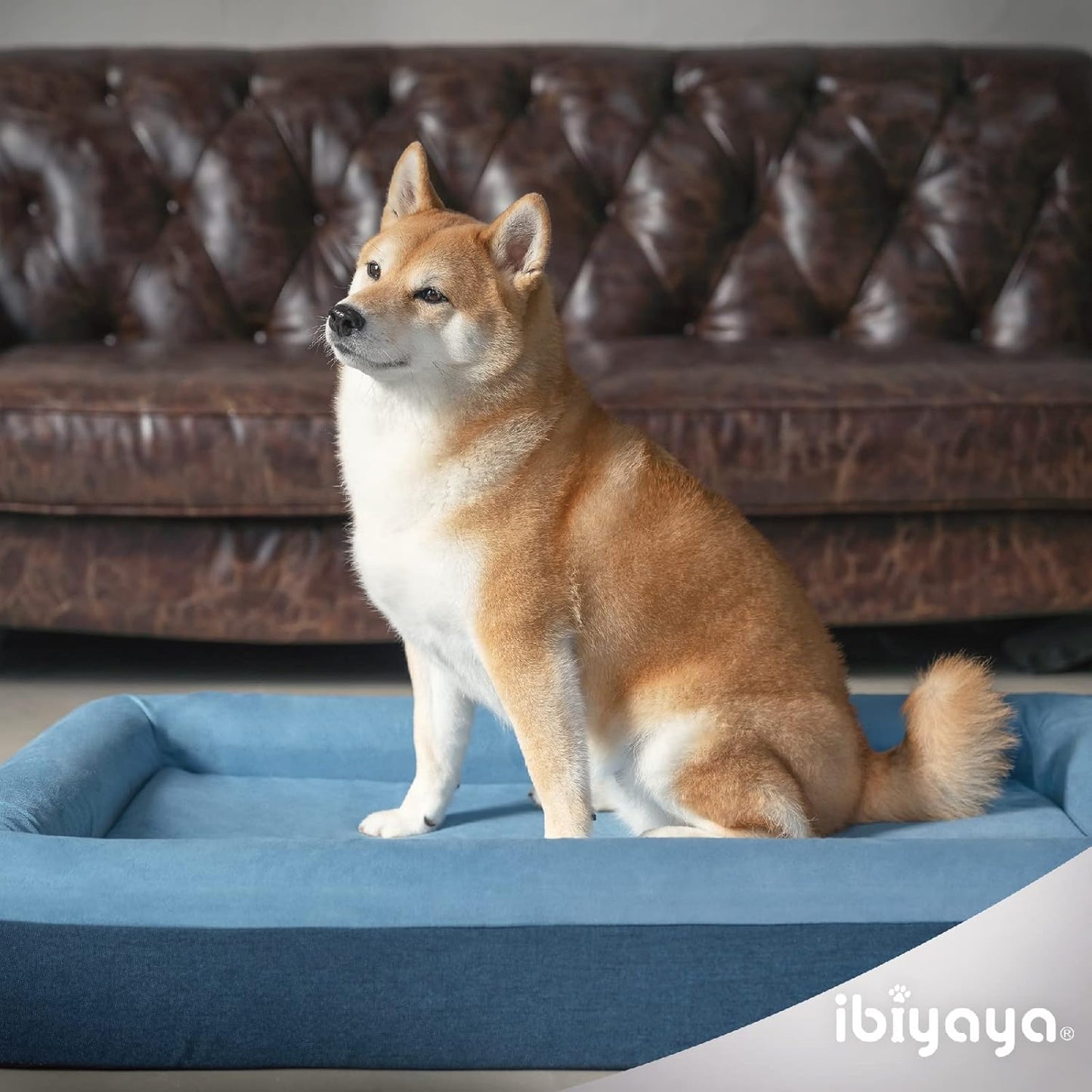 Ibiyaya Deep Sleep Orthopedic Dog Bed with Bolster and Removable Cover, Odor-resistant, Washable and Indestructible Dog Bed for Medium, Large and Extra-Large Dog Breeds
