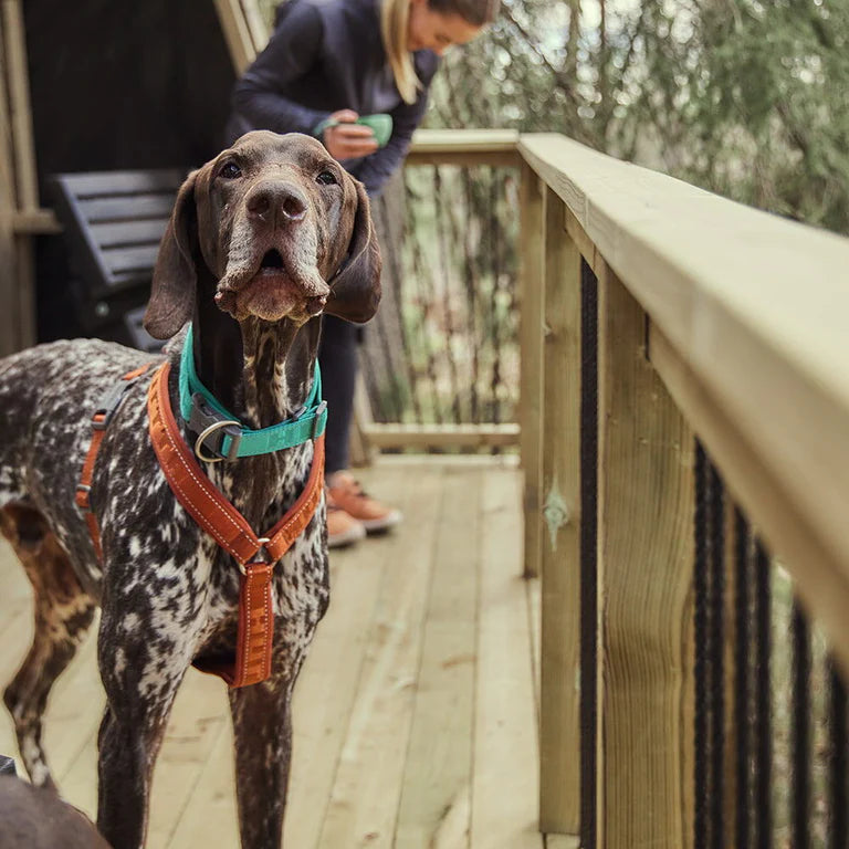 [Presale]Casual Y-Harness ECO