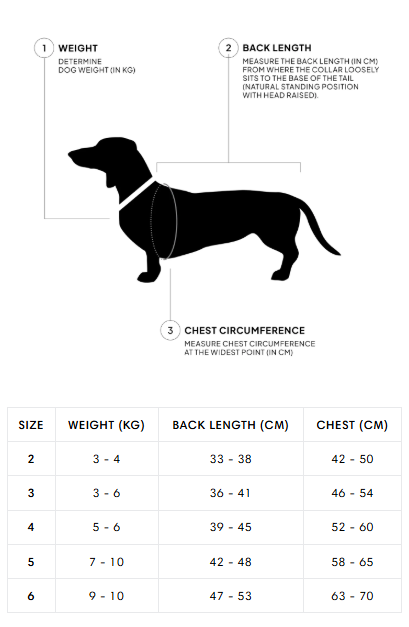 [Presale]Dachshund Raincoat Dublin 2.0 Sandy Brown