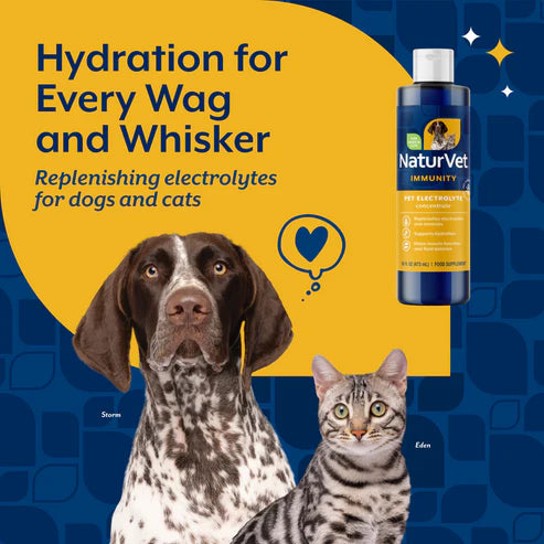 NATURVET Pet Electrolytes Dog & Cat 16OZ