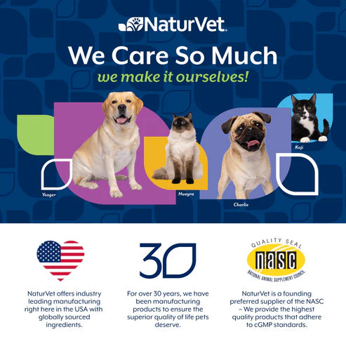 NATURVET Pet Electrolytes Dog & Cat 16OZ