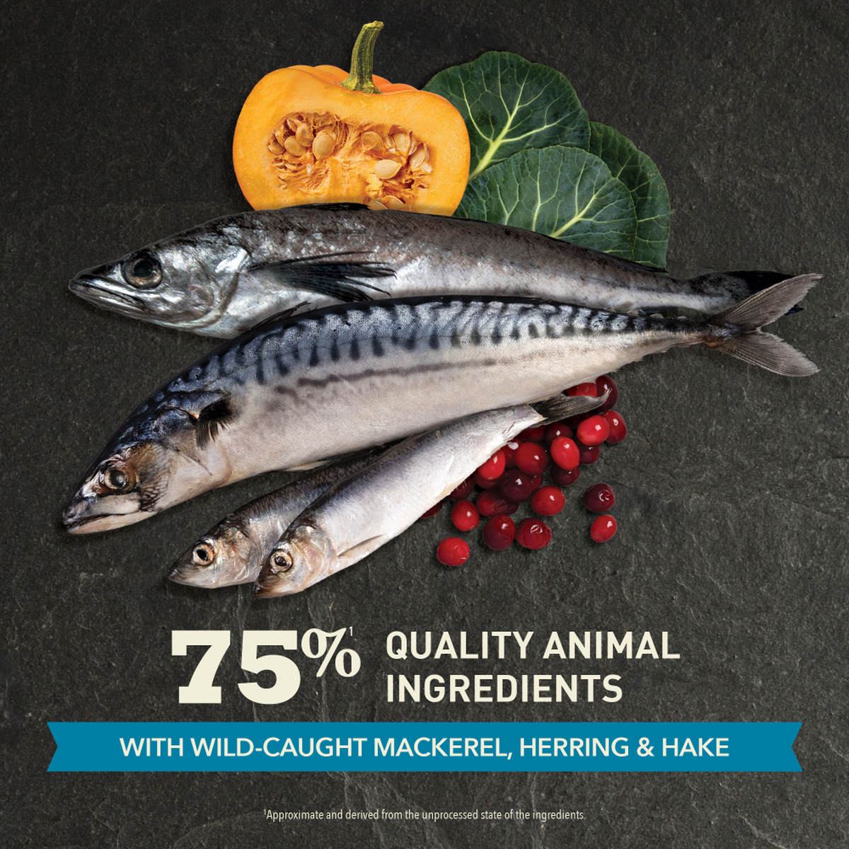 ACANA Highest Protein Pacifica Dry Cat Food – official product image 3