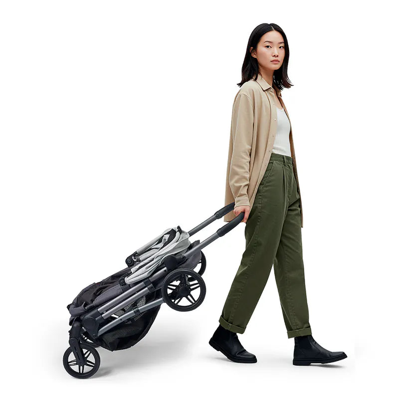 Ibiyaya Maxi Deep Carriage Pet Stroller with Puncture-Free EVA-Rubber Wheels