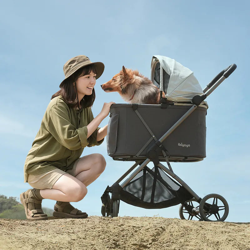 Ibiyaya Maxi Deep Carriage Pet Stroller with Puncture-Free EVA-Rubber Wheels