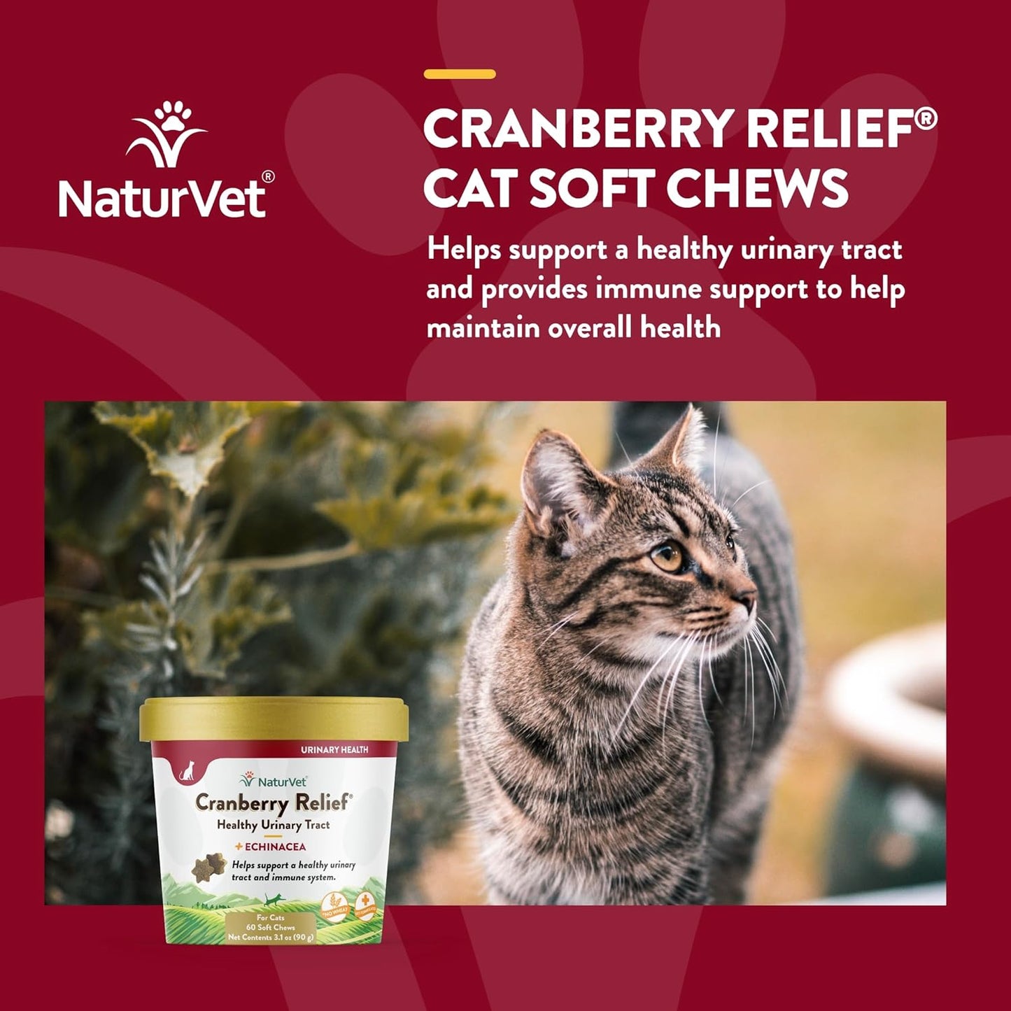 NATURVET Soft Chew Cranberry Relief 60CT | Cat