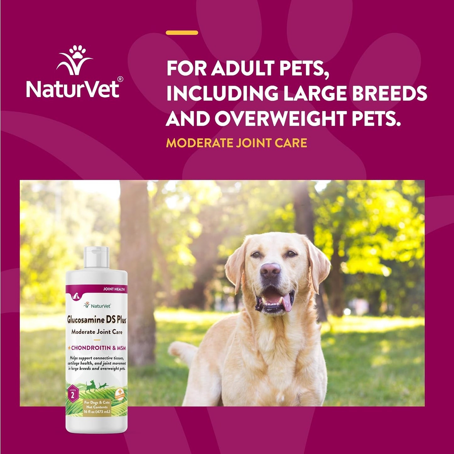NATURVET Glucosamine DS Plus Liquid 16OZ