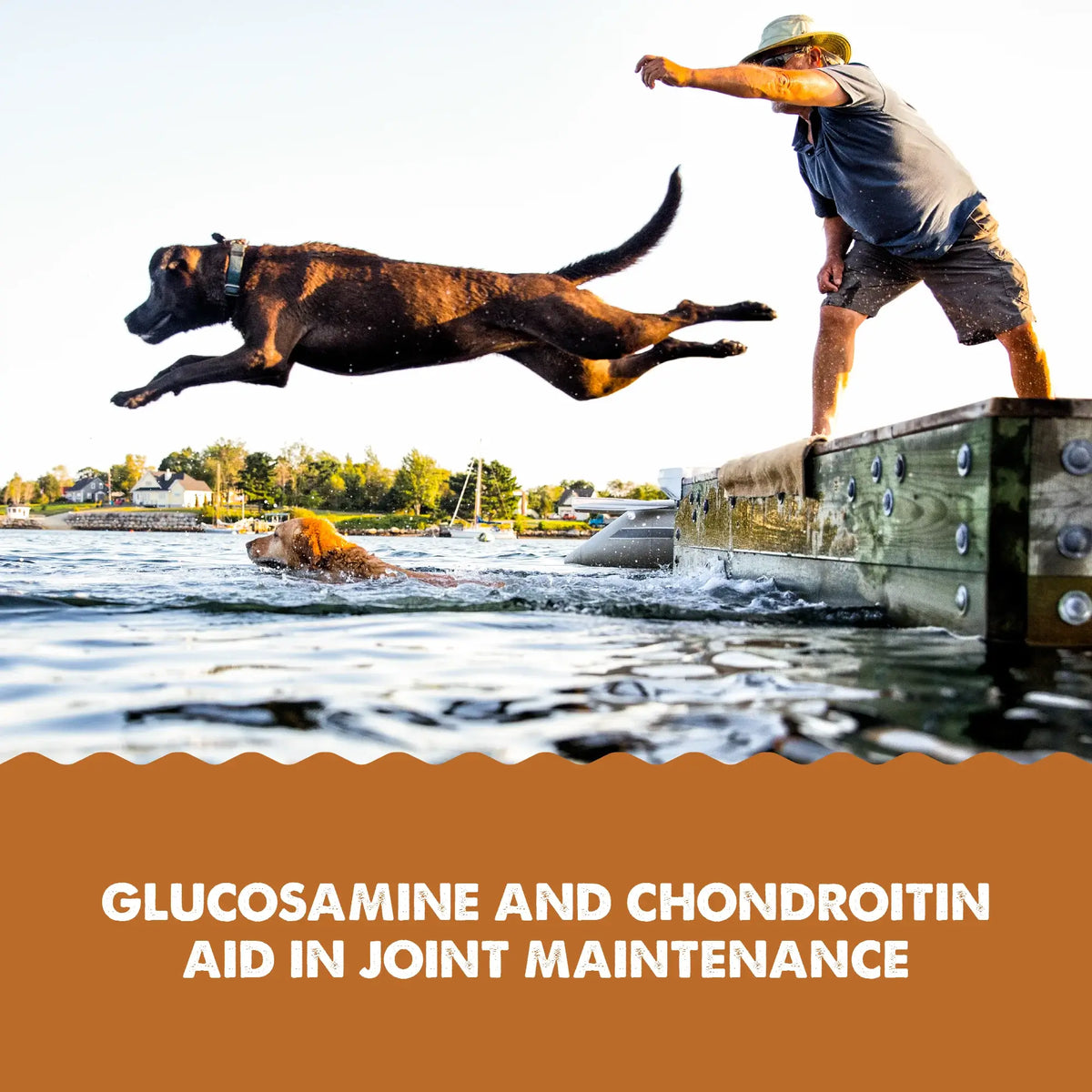 Grizzly Joint Aid Hip & Joint Support Liquid Supplement for Dogs & Cats – 16 oz