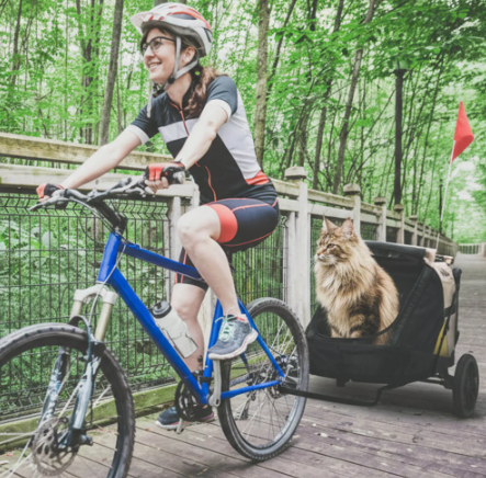 Minika 3-in-1 Pet Stroller System Foldable Dog Bicycle Trailer & Soft Crate Kennel