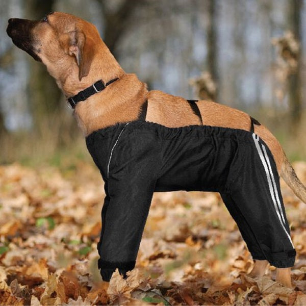 Pawtek All-Weather Dog Pants Small