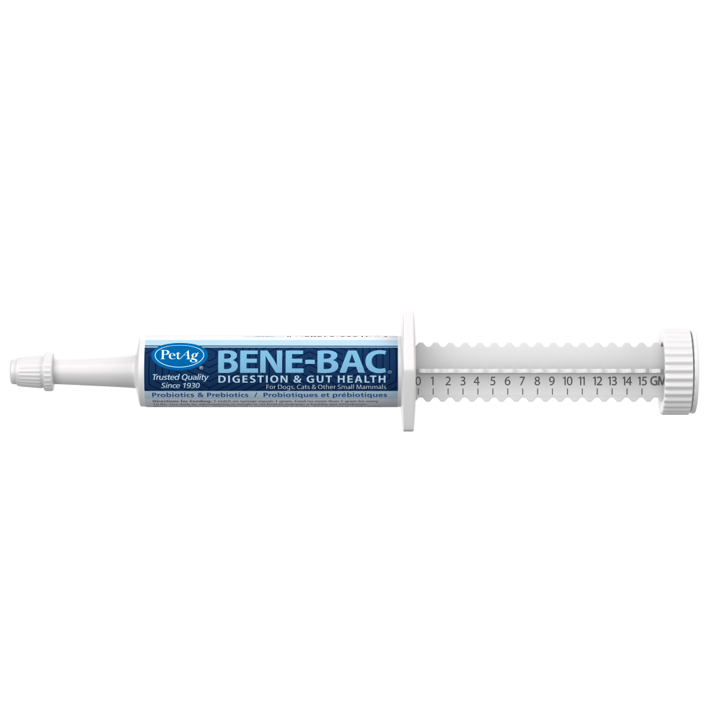 PetAg Bene-Bac Gel 15 g syringe