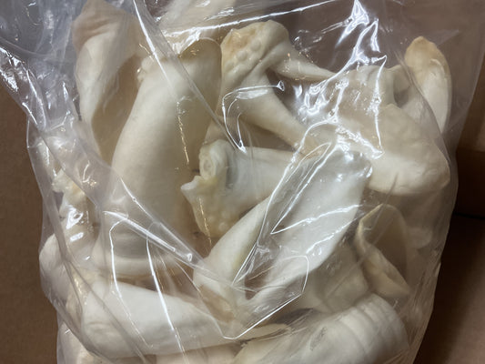 Lamb ear