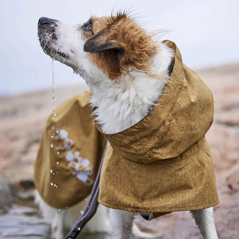 [Presale]Monsoon Coat II ECO