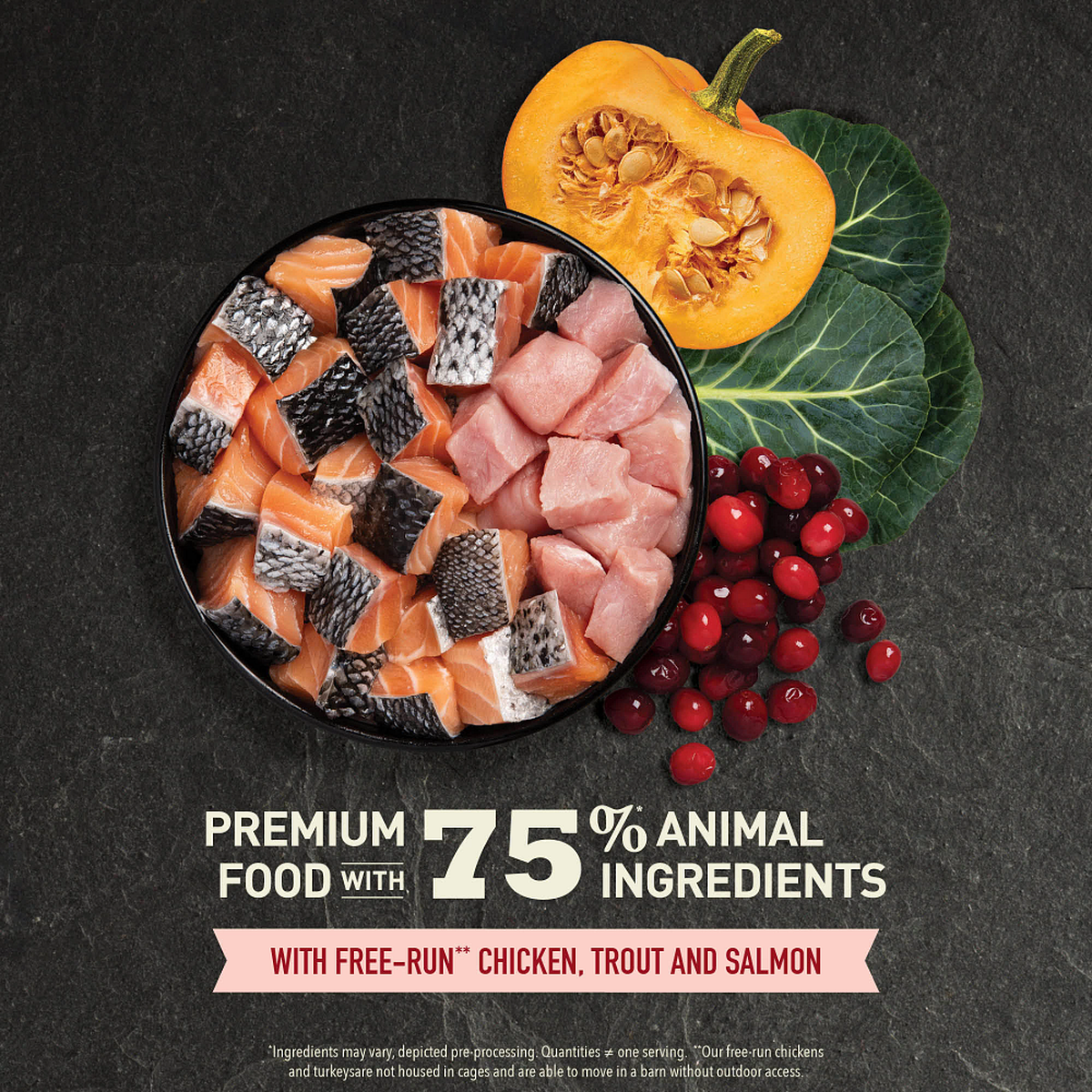 ACANA Highest Protein Indoor Cat Recipe Dry Cat Food – official product image 3