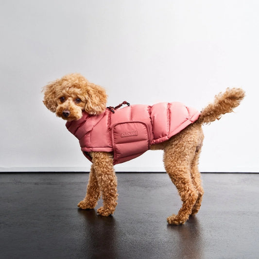 [Presale]Dog Coat Alaska Faded Rose