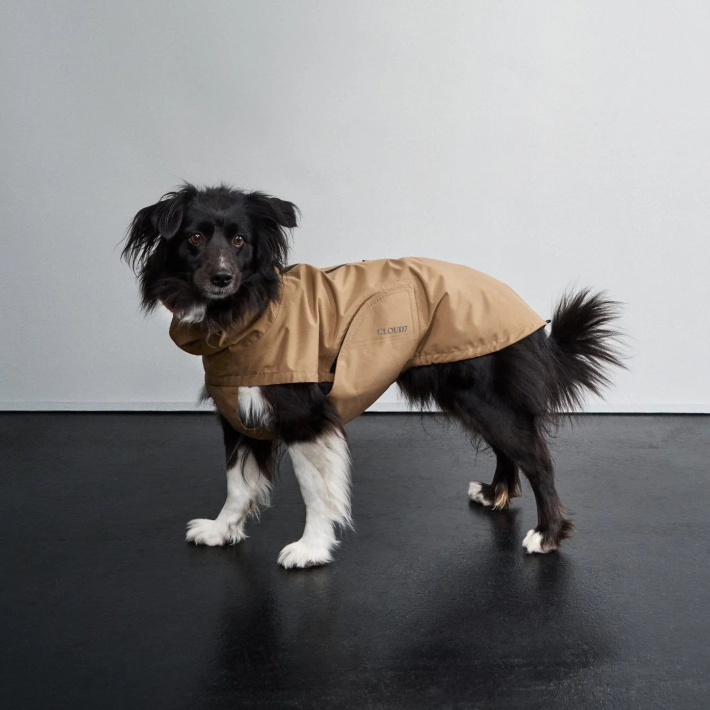 [Presale]Dog Raincoat Dublin 2.0 Sandy Brown