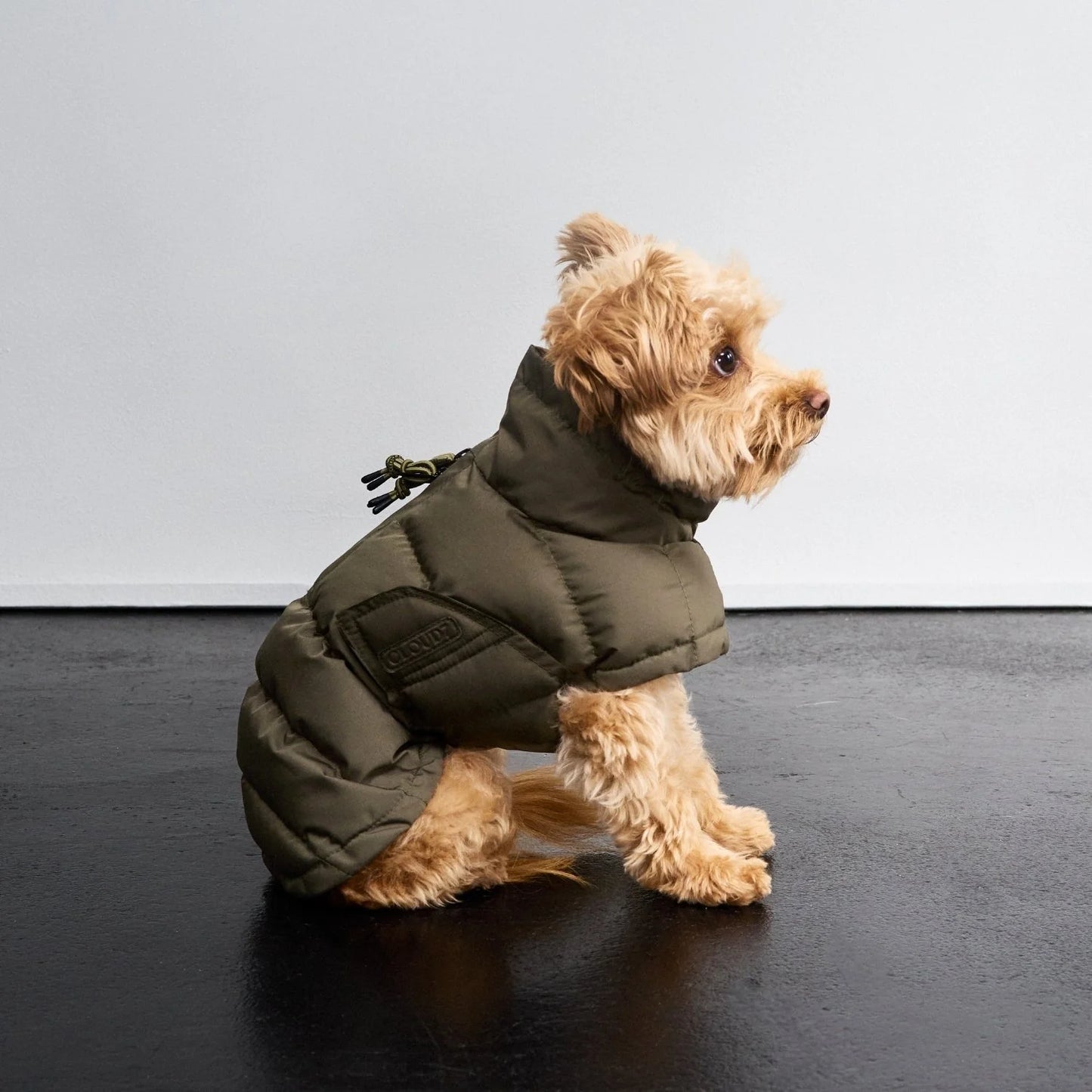 [Presale]Dog Coat Everest Light Olive