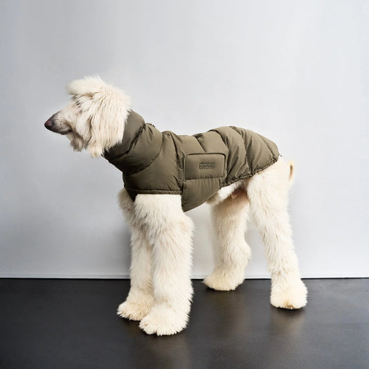 [Presale]Sighthound Dog Coat Alaska