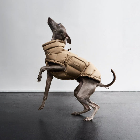 [Presale]Dog Coat Alaska Sandy Brown