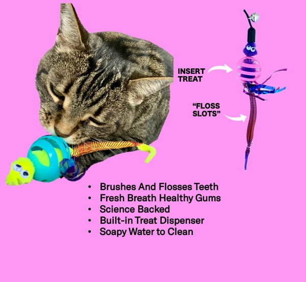 Chew Mate Cat Oral Care Floss & Treat Toothbrush Toy