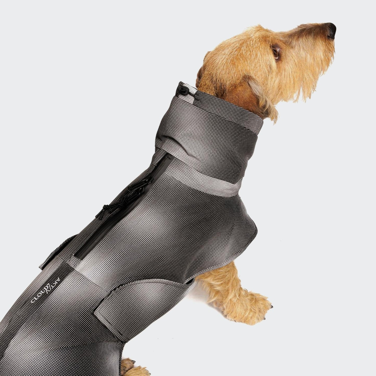 [Presale]Dachshund Raincoat AKTIV Black