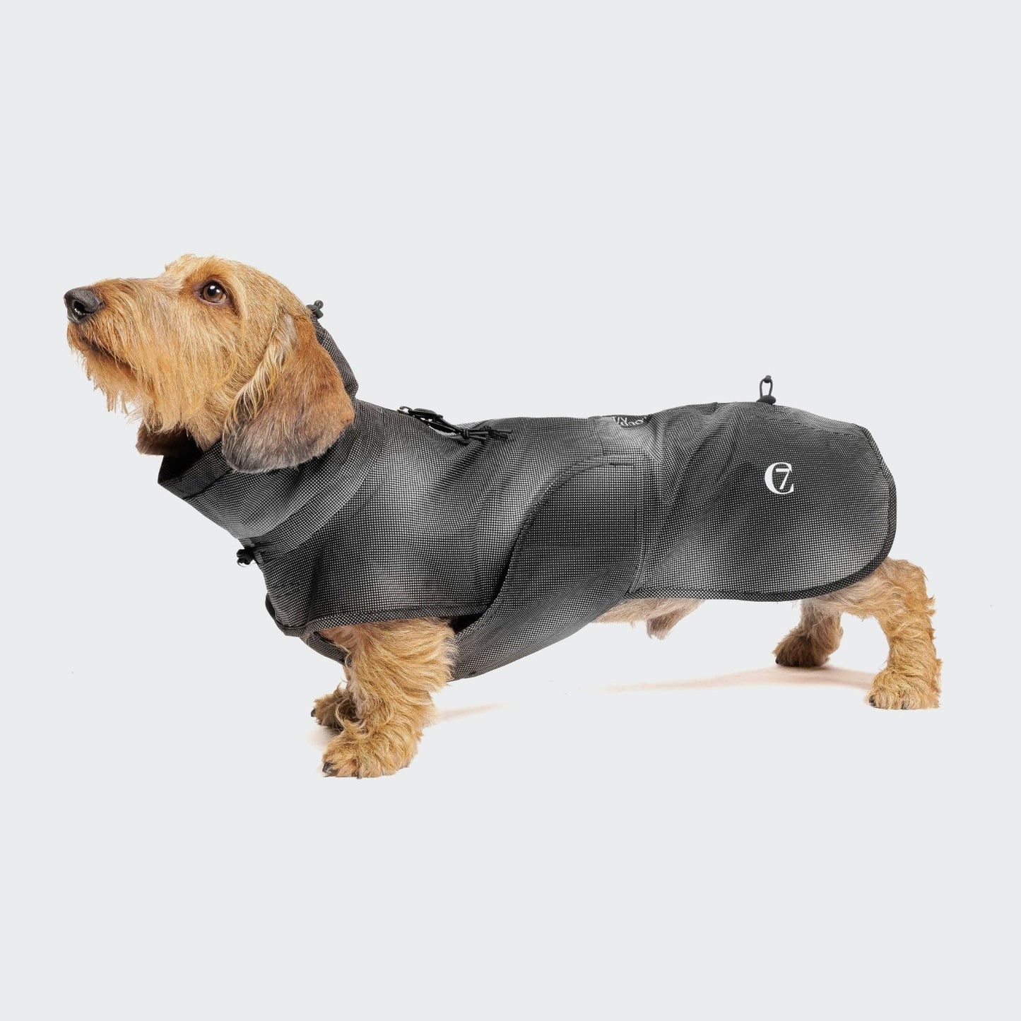 [Presale]Dachshund Raincoat AKTIV Black