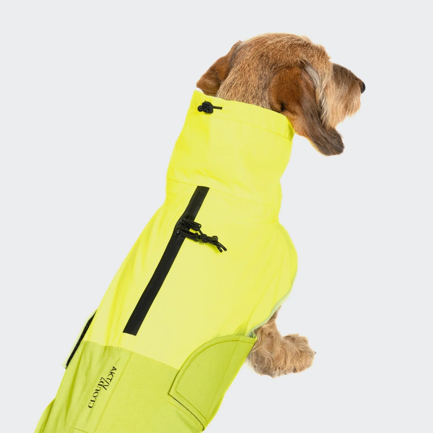 [Presale]Dachshund Raincoat AKTIV Neon Green/Light Olive