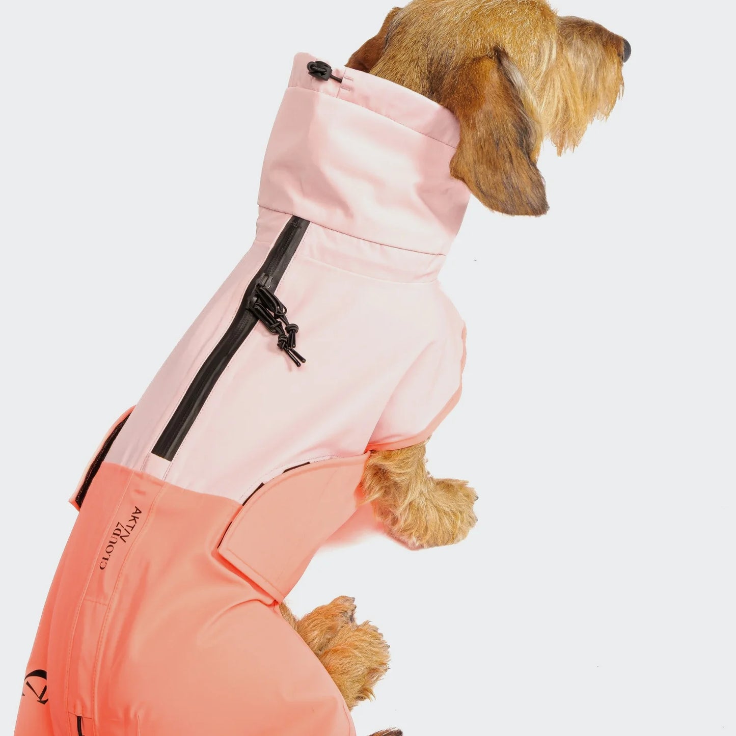[Presale]Dachshund Raincoat AKTIV Peach/Neon Pink