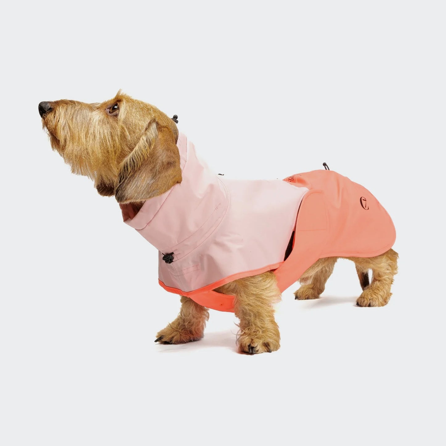 [Presale]Dachshund Raincoat AKTIV Peach/Neon Pink