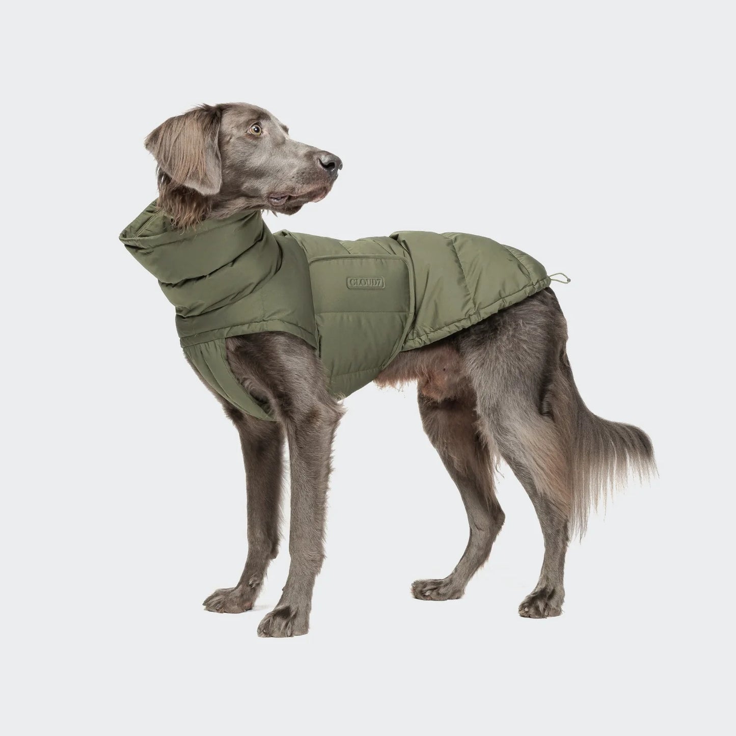 [Presale]Dog Coat Alaska Light Olive