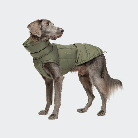 [Presale]Dog Coat Alaska Light Olive