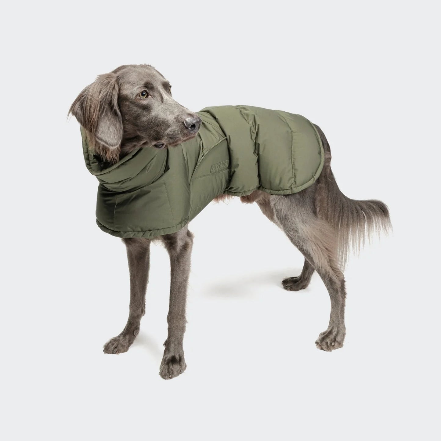 [Presale]Dog Coat Everest Light Olive