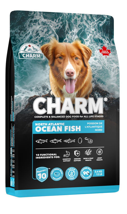 CHARM Northatlantic ocean fish dog