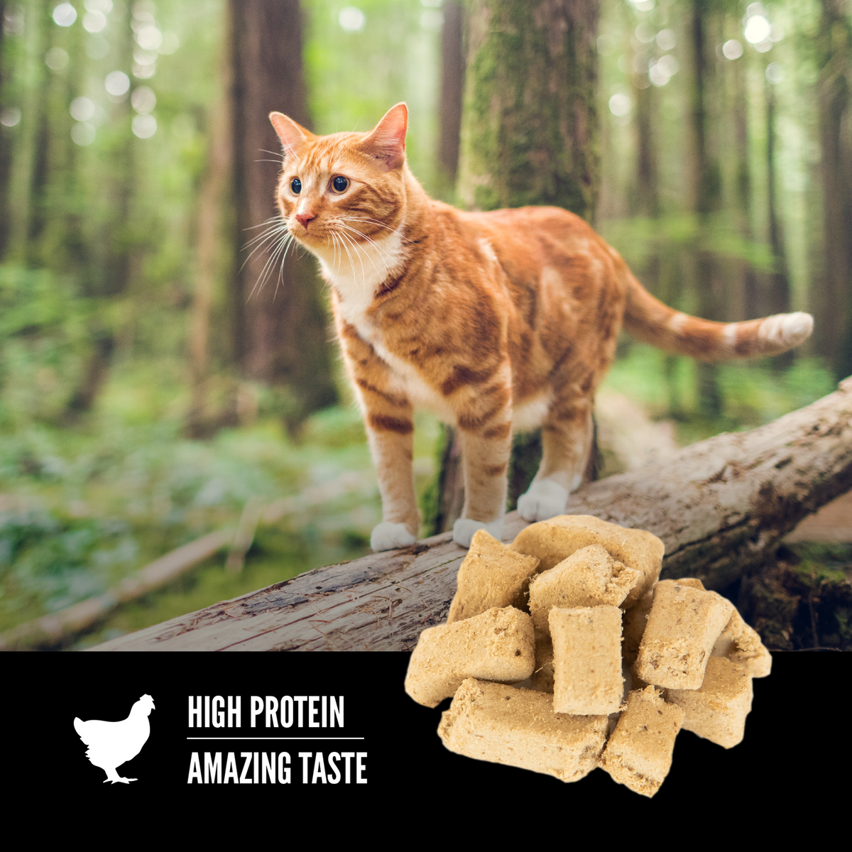 ORIJEN Original freeze-dried cat treats