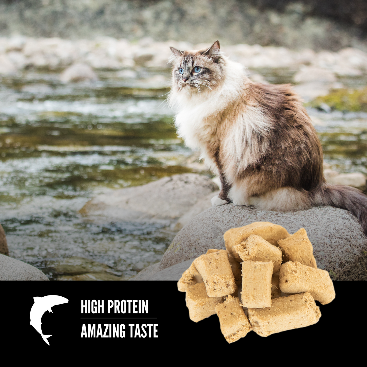 ORIJEN Six Fish freeze-dried cat treats