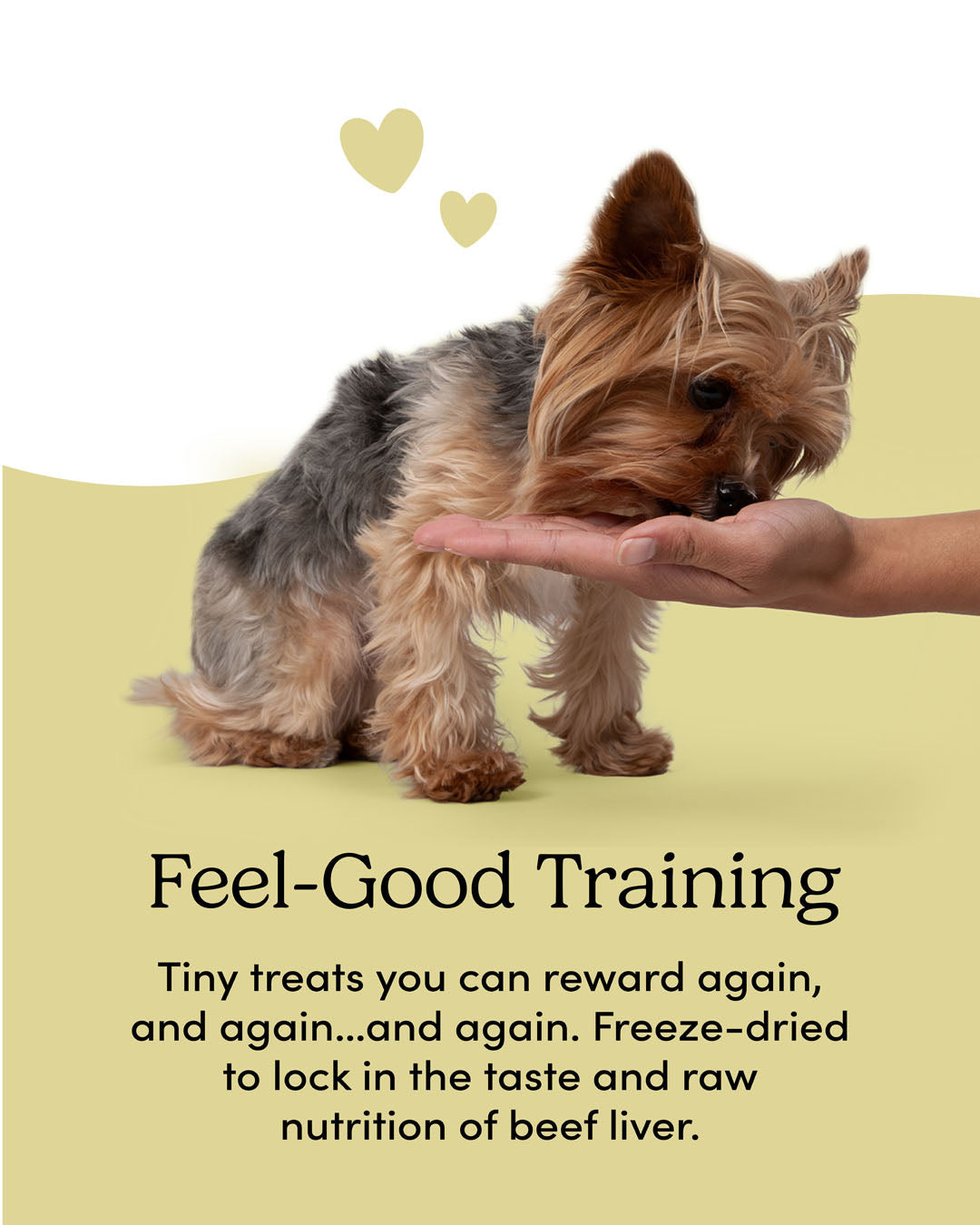 Crumps' Naturals Beef Liver Mini Trainers texture and size