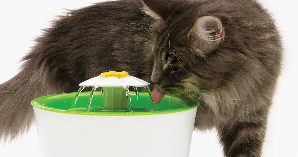Catit Flower Fountain
